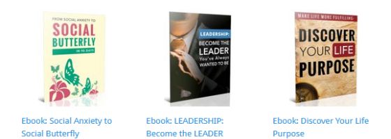 LEADERSHIP: BECOME THE LEADER You’ve Always Wanted To Be Ebook