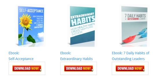 Extraordinary Habits Ebook [Personal Development Blog Ebooks]