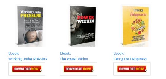 THE POWER WITHIN Ebook [Personal Development Blog Ebooks]
