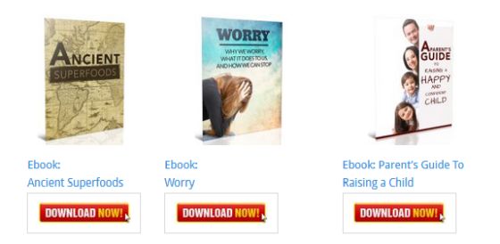 Worry Ebook [Personal Development Blog Ebooks]