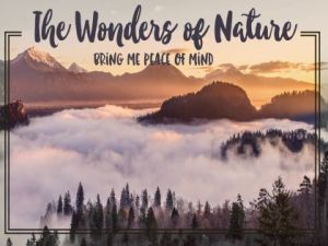Wonders Of Nature by Positive Affirmations