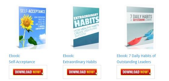 7 Daily Habits of Outstanding Leaders [Personal Development Blog Ebooks]