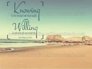 Tackle What Needs Doing | Knowing Is Not Enough by Wolfgang von Goethe