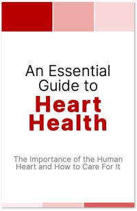 An Essential Guide to Heart Health