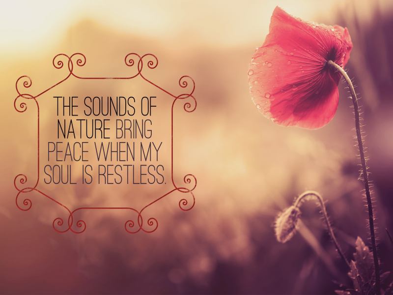 Sounds of Nature Bring Peace