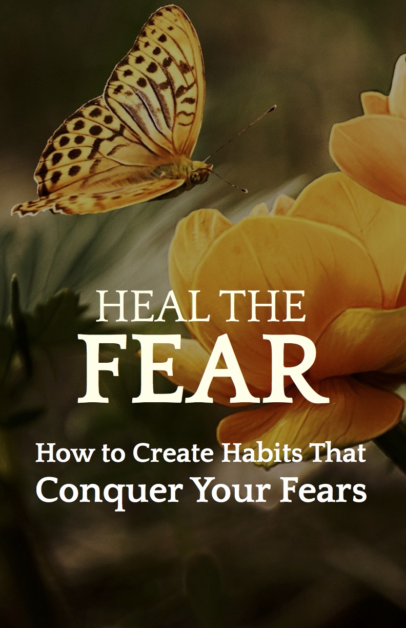Heal the Fear - How to Create Habits That Defeat Your Fears
