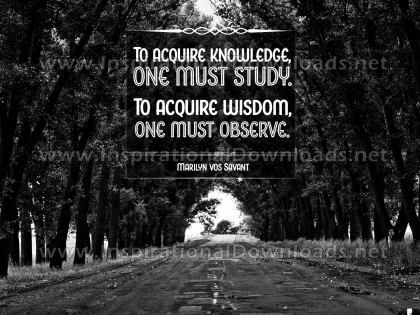 Acquire Wisdom Inspirational Quote by Marilyn Vos Savant Inspirational Poster