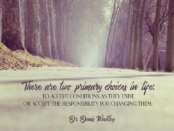 Primary Choices In Life by Denis Waitley