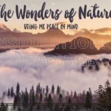 Wonders of Nature Positive Affirmation Inspirational Quote Graphic
